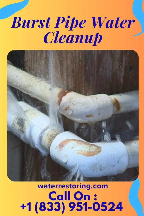 Burst Pipe Water Cleanup in San Ildefonso Pueblo, NM